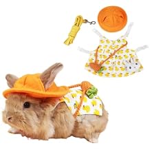 Rabbit Harness and Leash for Walking Escape Proof - Cute Mesh Breathable Bunny Vest Harness Outdoor Camping Hiking Training - Also Suit for Ferret Kittn Puppy Small Animals Small