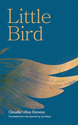 Little Bird view 2
