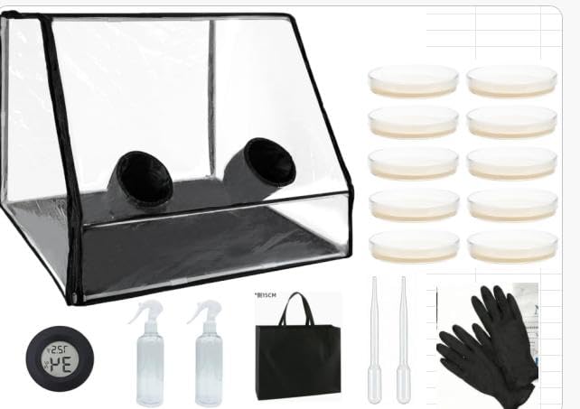 Still Air Box mit schrägem Sichtfenster, Mushroom Grow Tent | Kultivierungs-Set mit 10 Petrischalen, 2 Pipetten & Handschuhen – vielseitige Pilz-Zuchtbox für Hobby und Beobachtung