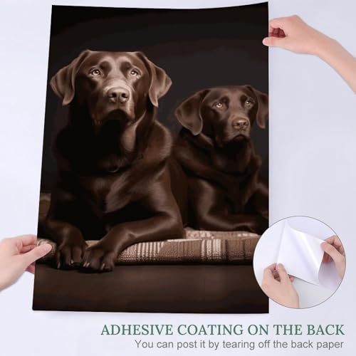 Poster mural Labrador Retriever marron papier adhésif amovible bureau - 4