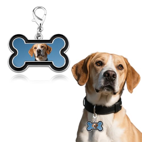Etiqueta de perro para collar, etiquetas de identificación de mascotas para perros, etiqueta de nombre en blanco con forma de hueso, etiqueta de perro grabada de metal, dijes de collar de mascotas