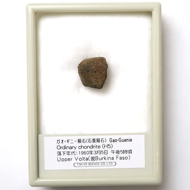 Amazon | SCIENCE 隕鉄（石質隕石）「ガオ・ギニー隕石（Gao-Guenie 