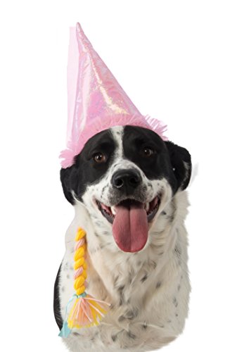 Sombrero princesa para perro mediano/grande