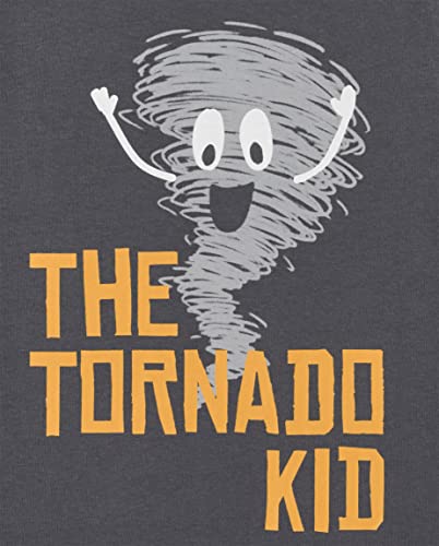 Image of Baby Boys and Toddler Boys Short Sleeve Graphic T- Shirt 2-pack