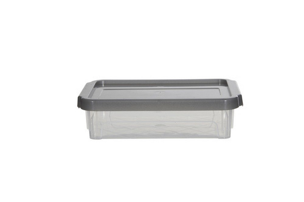 Whitefurze Spacemaster Storage Box, 500ml, Silver