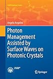 bloch waves wiki  Photon Management Assisted by Surface Waves on Photonic Crystals (PoliTO Springer Series)