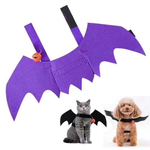 cibooleo nEB RXvRE L ^p  ڂ̃x xNfUC L ^p ybg 啉H ̉H y ̊(p[v,S)