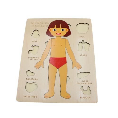 Voyoo Rompecabezas de Madera de Cuerpo Humano para niños y niñas, Juego de anatomía educativa para el Aprendizaje temprano, Estructura de órganos, Rompecabezas para Preescolar y niños y niñas
