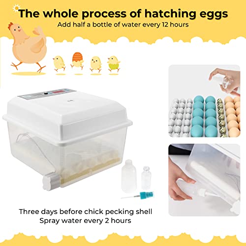 Fully Automatic Egg Incubator for 16 Eggs, Poultry Hatcher Machine with Temperature Self-Control, Automatic Egg Turner & Egg Candler, Ideal for Hatching Chickens, Quail, Duck, Goose, Turkey