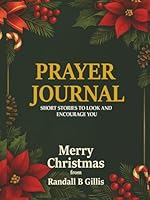 PRAYER JOURNAL: SHORT STORIES TO LOOK AND ENCOURAGE YOU 1969219866 Book Cover