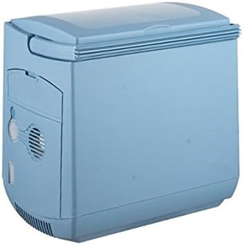 GOWE Car refrigerator 25l vehienlar refrigerator dual p.v tablets car refrigerator coolerx