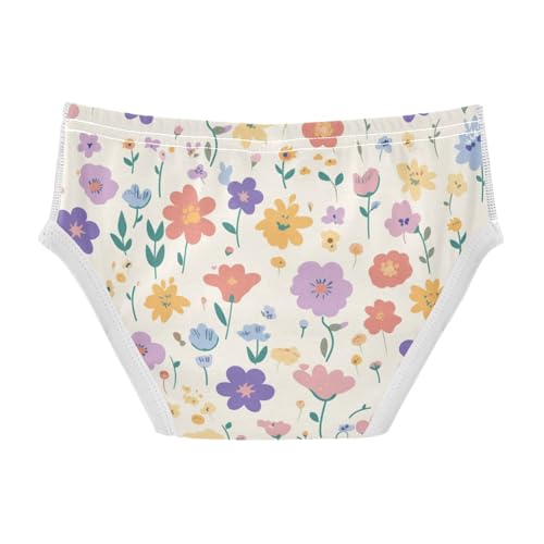 KLL Allover Graphic Floral Boys Toddler Cotton Underwear Briefs Cute Undies2