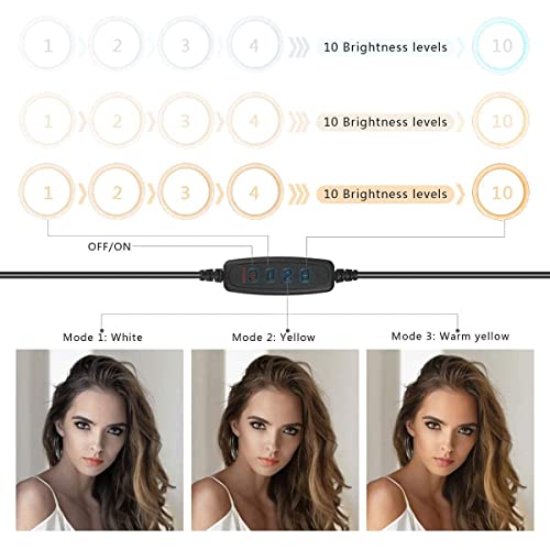 ضوء طاولة العمل، ضوء حلقي للمكتب بذراع زرجينة دوارة 6 بوصة USB ضوء حلقي للقراءة والأعمال الحرفية والمكياج واليوتيوب والبث المباشر والدراسة والأعمال المعمارية - الاسيتيكين