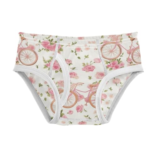 Wusikd Vintage Pink Bicycle Boys' Underwear Cotton Roses Boys Briefs Soft Toddler Underwear 2T