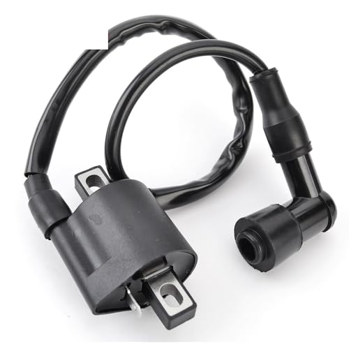 Bobina de encendido de repuesto para modelos de scooter EW50, CY50 y CW50 3