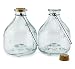 Darware Glass Wasp Traps (2-Pack); Wasp Catchers for Garden and Home Use