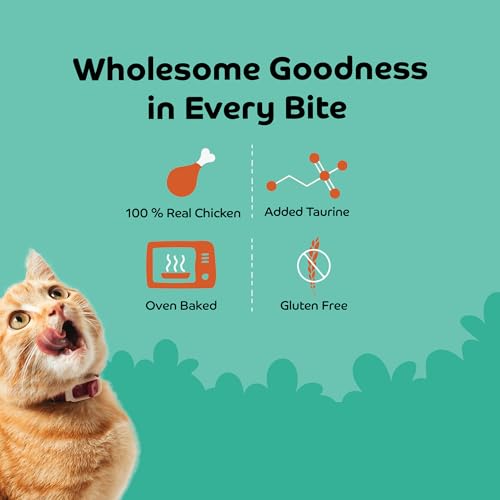 Image of Chicken Shreds Soft Cat Treats for Kittens & Adult Cats | Made with Real Meat | Grain-Free Daily Reward Treats with Taurine & No Fillers | Pack of 2 | 35g x 2