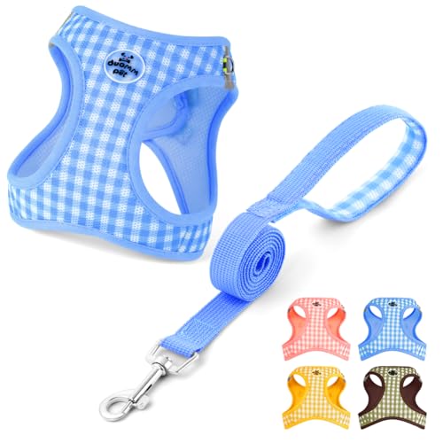 OFFCUP Hundegeschirr Leine Set für Hunde & Katzen Atmungsaktive Step-In Geschirr aus Mesh mit gepolsterter Weste Anti Zug Reflektierend Verstellbar Weich Welpengeschirr Katzengeschirr, Blau, XS OFFCUP Hundegeschirr Leine Set für Hunde & Katzen Atmungsaktive Step-In Geschirr aus Mesh mit gepolsterter Weste Anti Zug Reflektierend Verstellbar Weich Welpengeschirr Katzengeschirr, Blau, XS