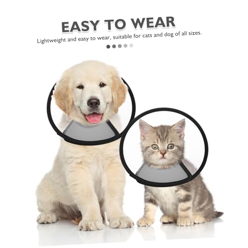 Collier de protection chiens chats lot de 4 collerettes transparentes