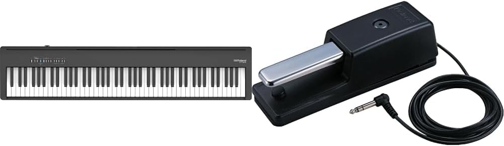 Roland Fp-30X Digital Piano, The Super-Popular Portable Piano Upgraded Black & Dp-10 Traditional Style Damper Pedal