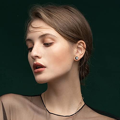 Fibo Steel 16 Pairs Fake Gauge Earrings For Men Women Stainless Steel Stud Earrings Cheater Fake Ear Plugs Faux Gauges Earrings Ear Tunnel #TOP2