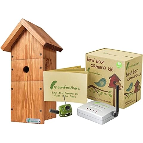 Green Feathers Wildlife Bird Box Wireless SD 700TVL Video Camera With Complete DIY Timber Chalet Style Bird Nest House Box Cover