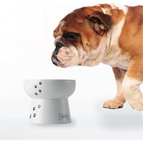 Necoichi Raised Dog Water Bowl Cover