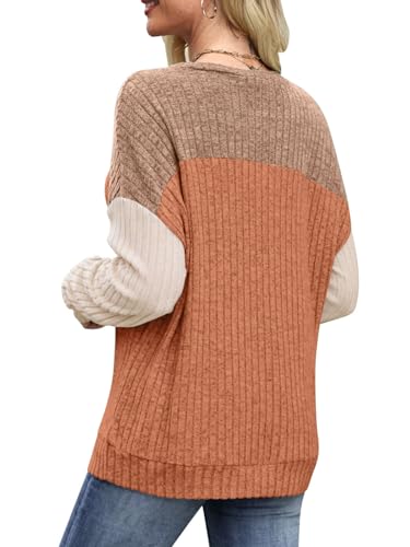 MixShe Womens Sweaters Color Block 2025 Fall Fashion Crewneck Tunic Tops S-XXL