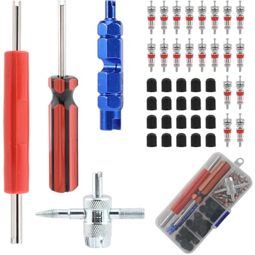 JEYORZY 44x Herramientas de Extracción de Válvula, Herramientas de Válvulas de Neumáticos, Kit de Reparación de Neumáticos, Núcleos Válvula, Llave Núcleo de Válvula, Herramientas Extracción Válvulas