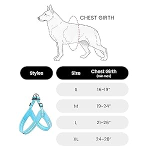 EXCELLENT-ELITE-SPANKER-No-Pull-Dog-Harness-Step-in-Adjustable-Reflective-Vest-Soft-Padded-Easy-Pet-Chest-Strap-with-Leash-Clips-for-Small-Medium-Large-Dogs-Walking-TrainingBlack-XL - Cucciolini Doodles   EXCELLENT-ELITE-SPANKER-No-Pull-Dog-Harness-Step-in-Adjustable-Reflective-Vest-Soft-Padded-Easy-Pet-Chest-Strap-with-Leash-Clips-for-Small-Medium-Large-Dogs-Walking-TrainingBlack-XL