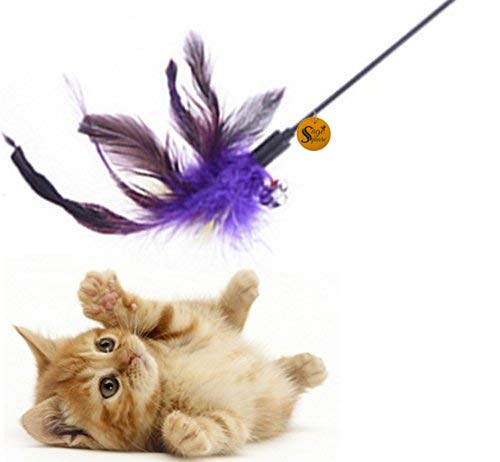 Sage Square Jumbo Size Pet-Friendly Feather Teaser Stick Training Toy (50 cm) (B083M47FVY) Amazon Price History, Amazon Price Tracker