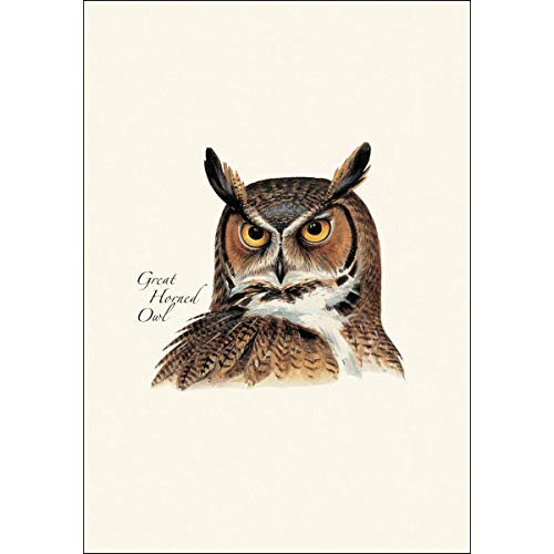 Eartearth Sky + Water - Peterson’s Owl Assortment Notecard Set - 8 Blank Cards With Envelopes (2 Each Of 4 Styles) #TOP1