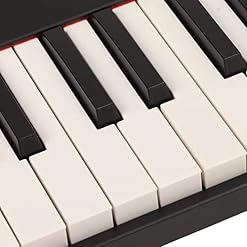 Piano Pliant, 88 Touches Portable Pleine Taille Piano avec 128 Tones, 128 Modes Rhythm, Haut-Parleur Intégré, BT MIDI… – Image 7