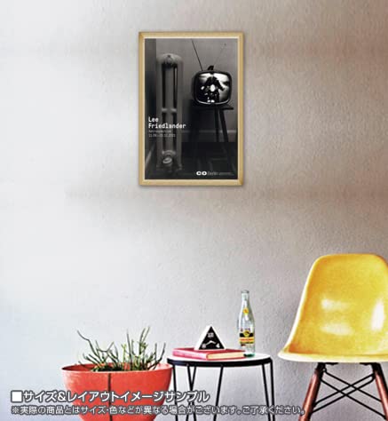 額装品/Framed/リー フリードランダー/アート/ポスター/インテリア Amazon.co.jp: ポスター リー フリードランダー Retrospective 額装品