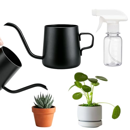 Indoor Watering Can Set, 250ml Black and 150ml Transparent Mini Watering Cans for House Plants, Desk Plants, and Small Gardens, Precise Watering with Long Spout