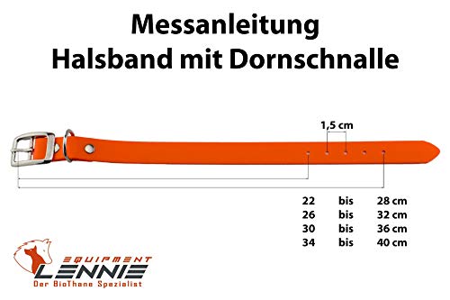 LENNIE 19mm breites Biothane Hunde-Halsband, Doppelstegschnalle, personalisiert mit Namen/Telefonnummer, schmutz-Wasser-abweisend