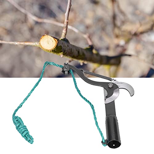 Astschere In Großer Höhe, Gartenschere, Teleskop Astschere In...