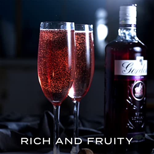 Gordon's Sloe Gin | 26% vol | 70cl | Crafted from Wild Sloe Berries & Gordon's Gin | Enjoy in a Gin Glass with Tonic | Gin Botanicals with Cassis Sweetness | Flavoured Gin