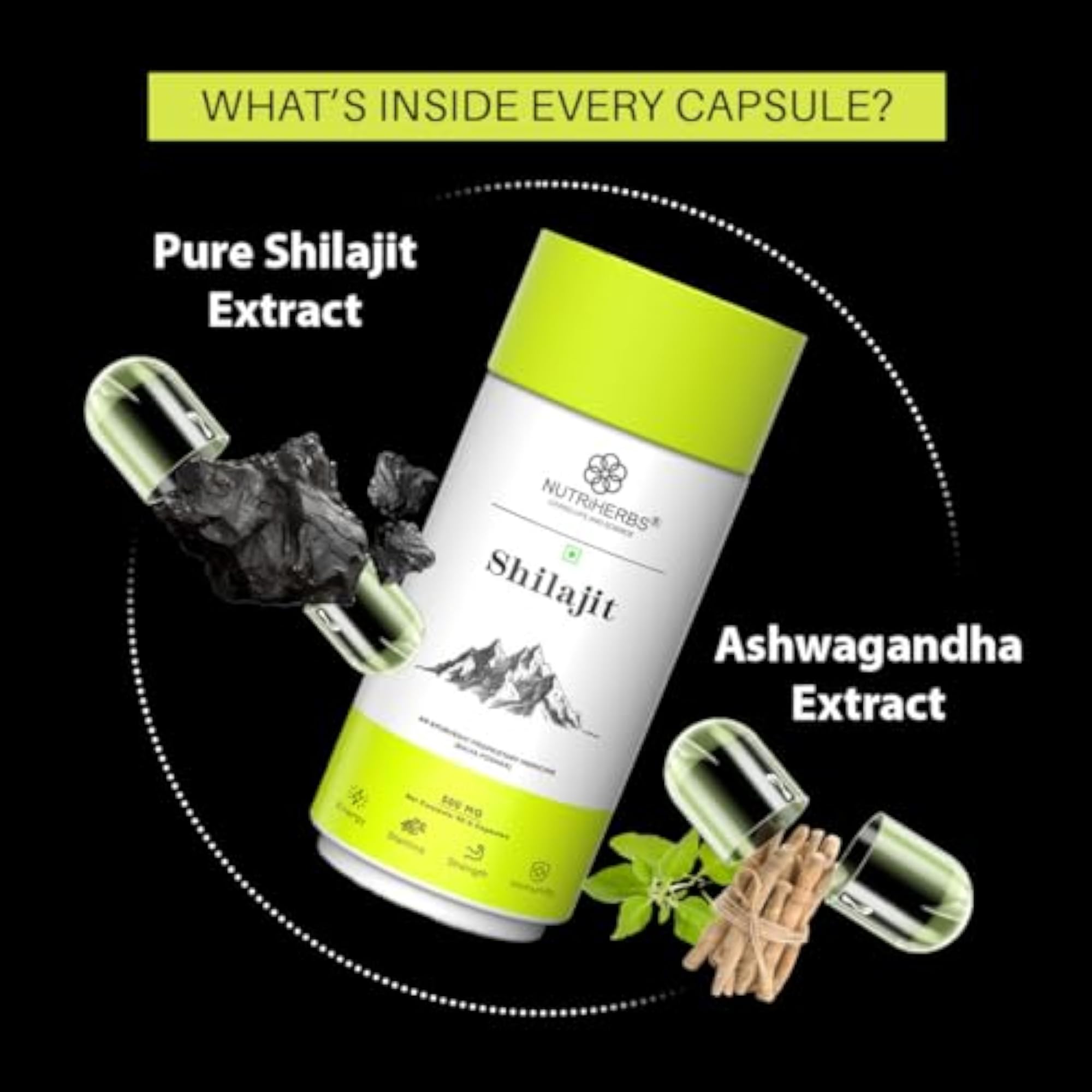 NUTRiHERBS Shilajit Capsules, 500mg Pack of 3