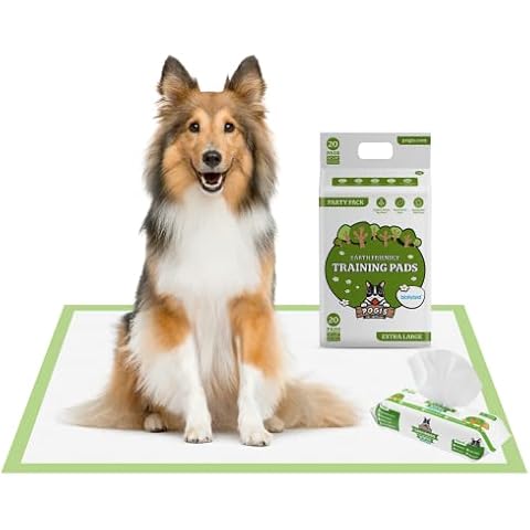 Pogi's Pads n' Wipes Bundle - 20 Extra Large Doggy Training Pads with Sticky Tabs (24 x 35 inches) and 100 Plant-Based, Hypoallergenic Pet Wipes for Dogs Cover