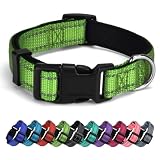 AUDWUD Collare in nylon spesso,collare classico per cani regolabile in più colori,adatto per cani di piccola,media e grande taglia,4 taglie