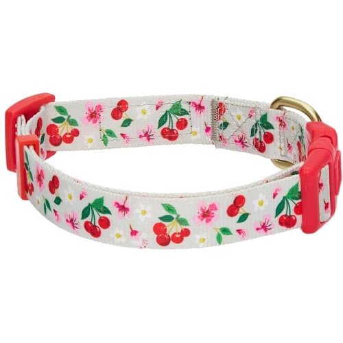 Blueberry Pet 7 Patterns Cherry Garden Grey Adjustable Dog Collar with Dainty Flowers, Medium, Neck 14.5"-20"