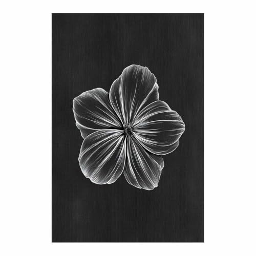 Affiche noir et blanc dessin de fleurs monochromes pour deco murale de bureau et chambre