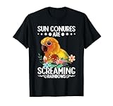 Periquito Conure Sun Conure pájaro