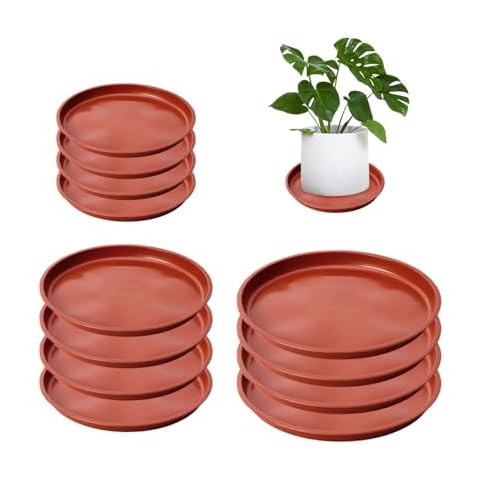 NYGGTYK 12 plateaux pour plantes Cover