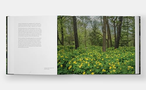 Garden Portraits: Experiences of Natural Beauty - Image 3