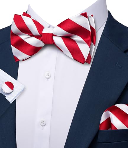 Image of Barry.Wang Paisley Striped Bow Tie for Men Silk Pre-Tied Bowtie Set