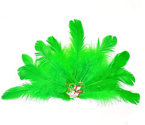 Image of Natural Dyed Feathers 10 cm (80 pieces) (Light Green)