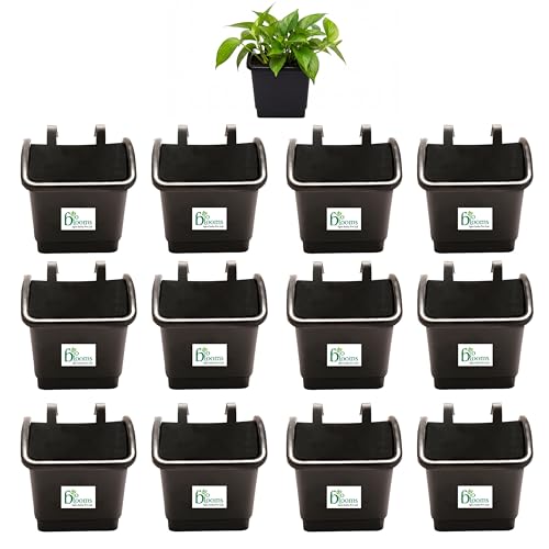 Smart Garden Wall Hanging Pots with Hooks, Black, Set of 12