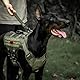 OneTigris Bolt Kurzführer Hund 30cm, Hundeleine Kurz mit Tiger Zahn Metallclip und Weiche Polsterung, Reflektierend Nylon Hundeleine Geeignet für Mittlere Große Hunde Grün